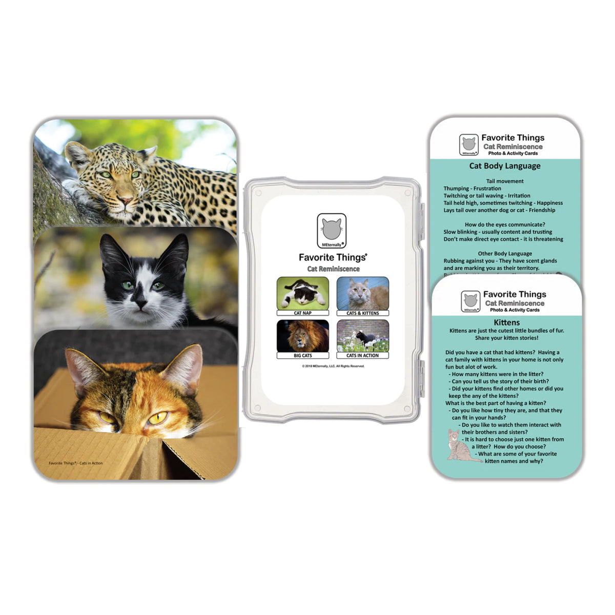 Cartes photos Collection Chat, MEternally