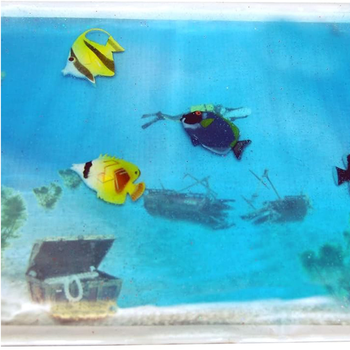 Grand aquarium de gel, vue 2