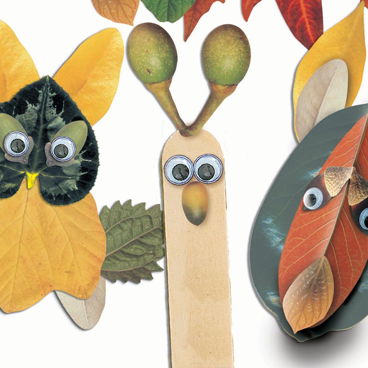 Feuilles de papier à découper, vue 3
