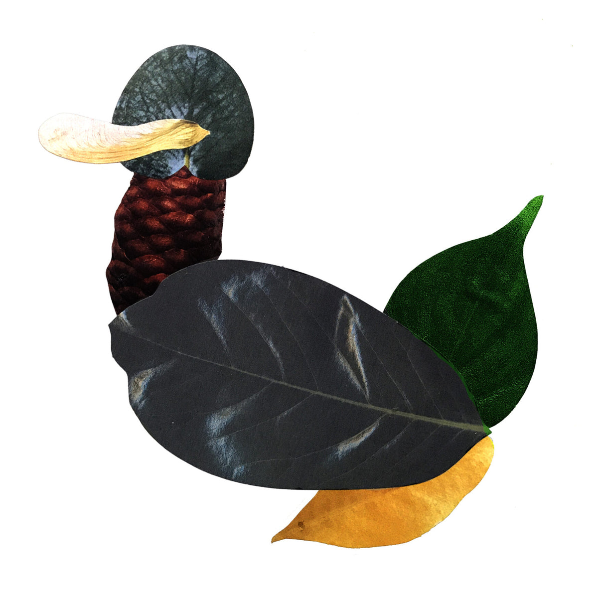 Feuilles de papier à découper, vue 5