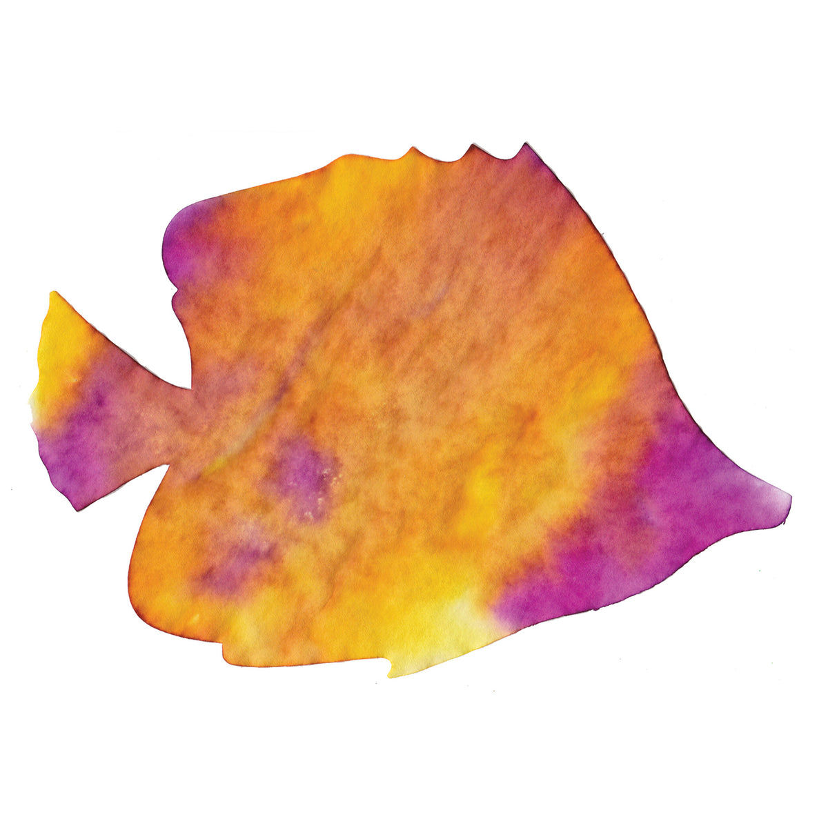 Papier diffuseur vie marine, vue 3