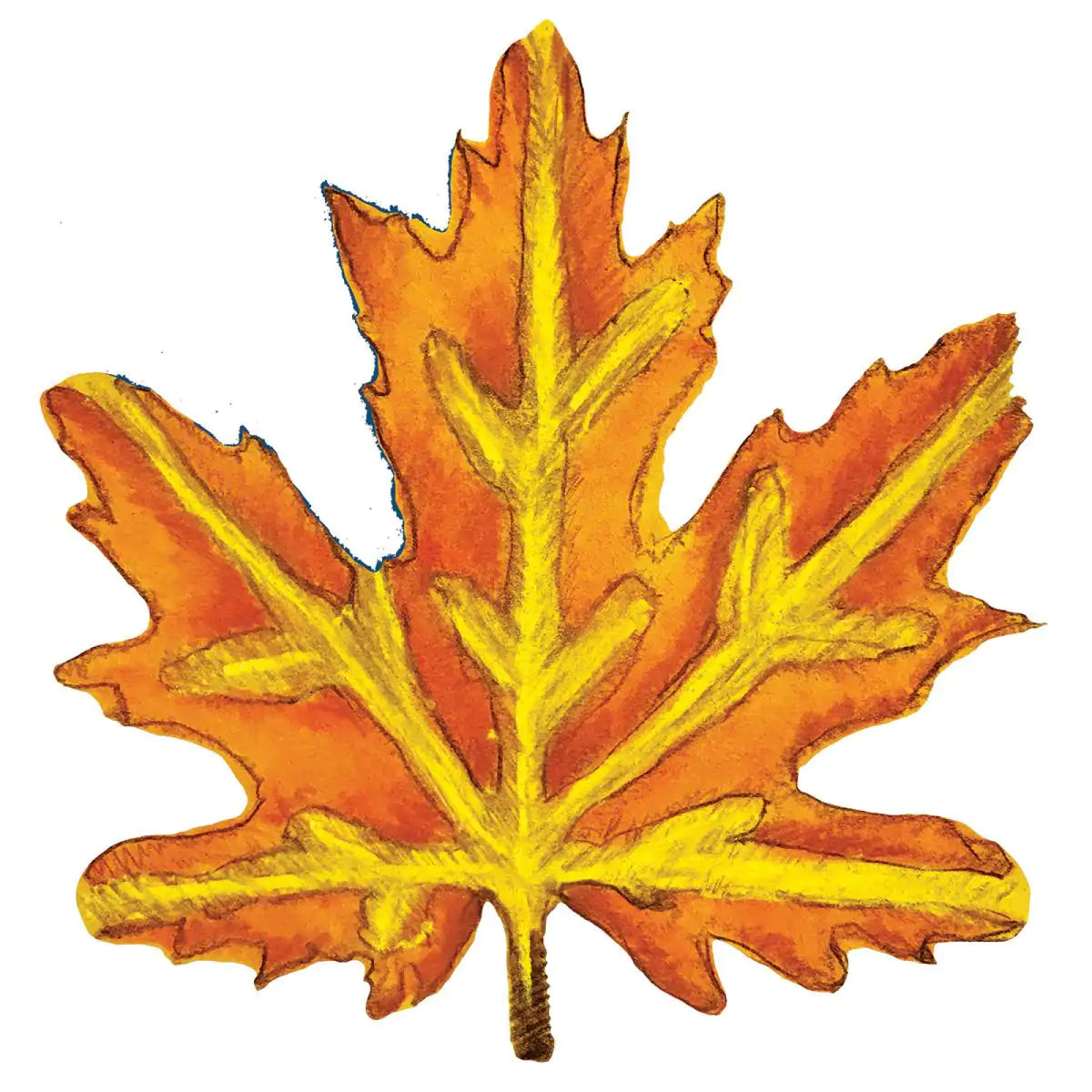 Pochoirs feuilles, vue 7