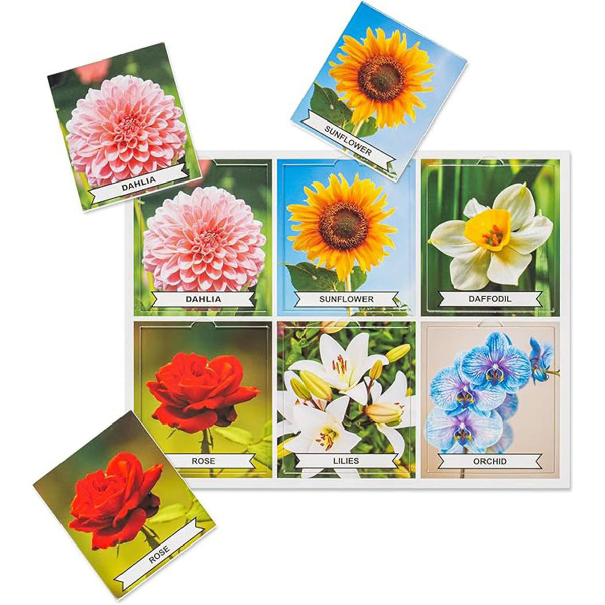Photographic Matching Game Nature, vue 4