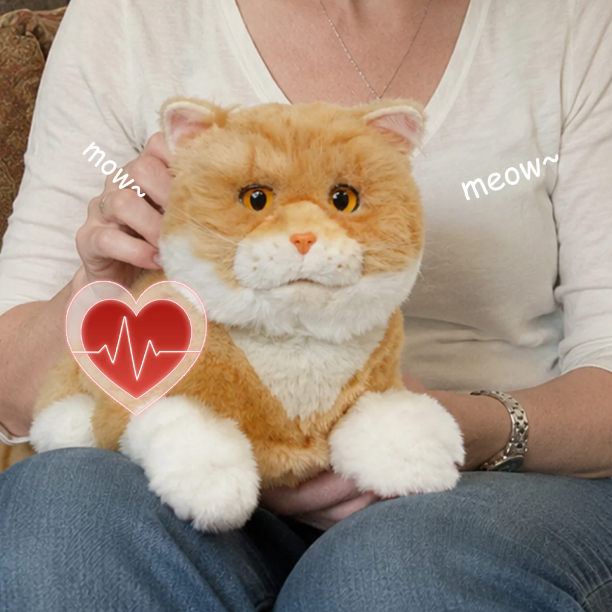 Chatte Percy, vue 3
