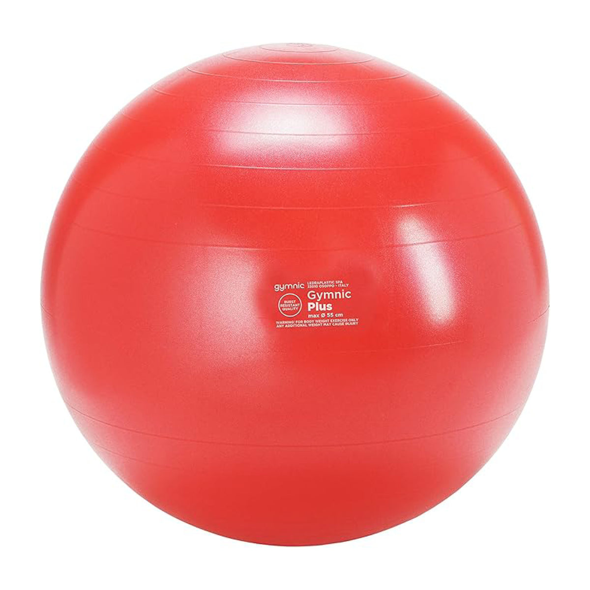 Ballon d'exercice Gymnic Plus 65 cm