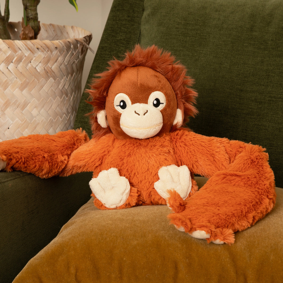 Orang-outan Hugarounds, vue 7