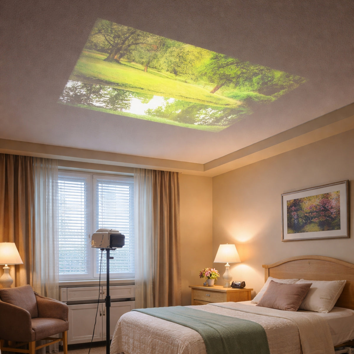 Projecteur d'ambiance sensorielle, AHS