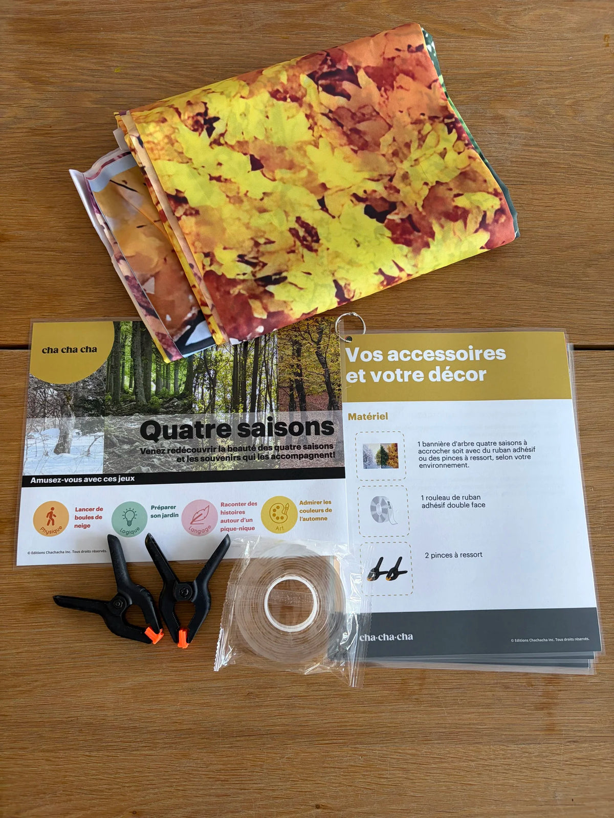 Group Activity Kit - The Four Seasons