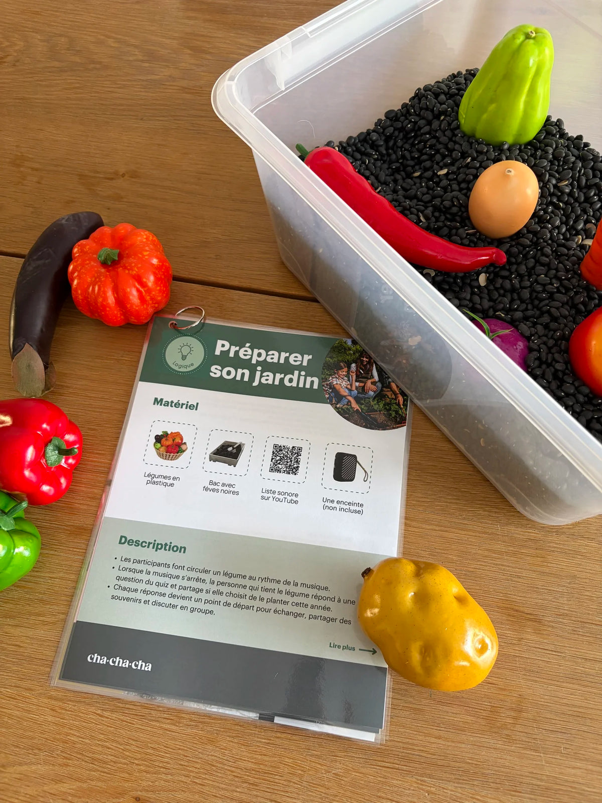 Group Activity Kit - The Four Seasons